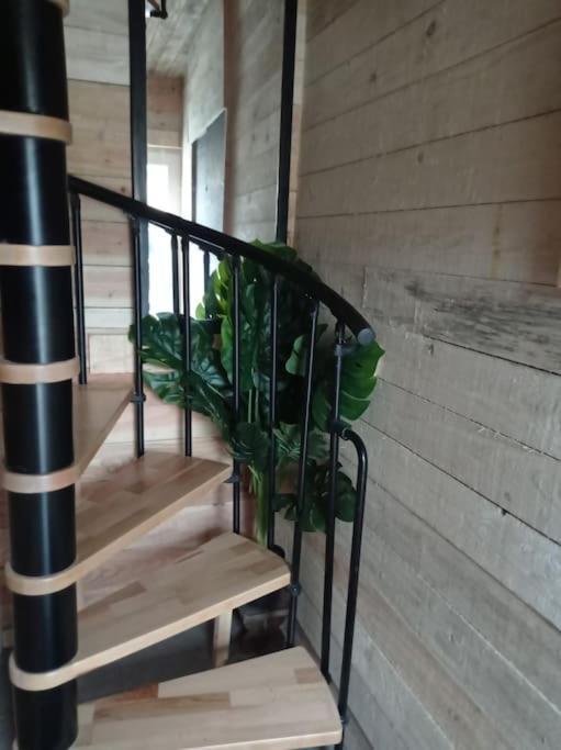 Tellin Le P'Tit Nid : Mini Loft Pour 2 A 4 Personnes 빌라 외부 사진