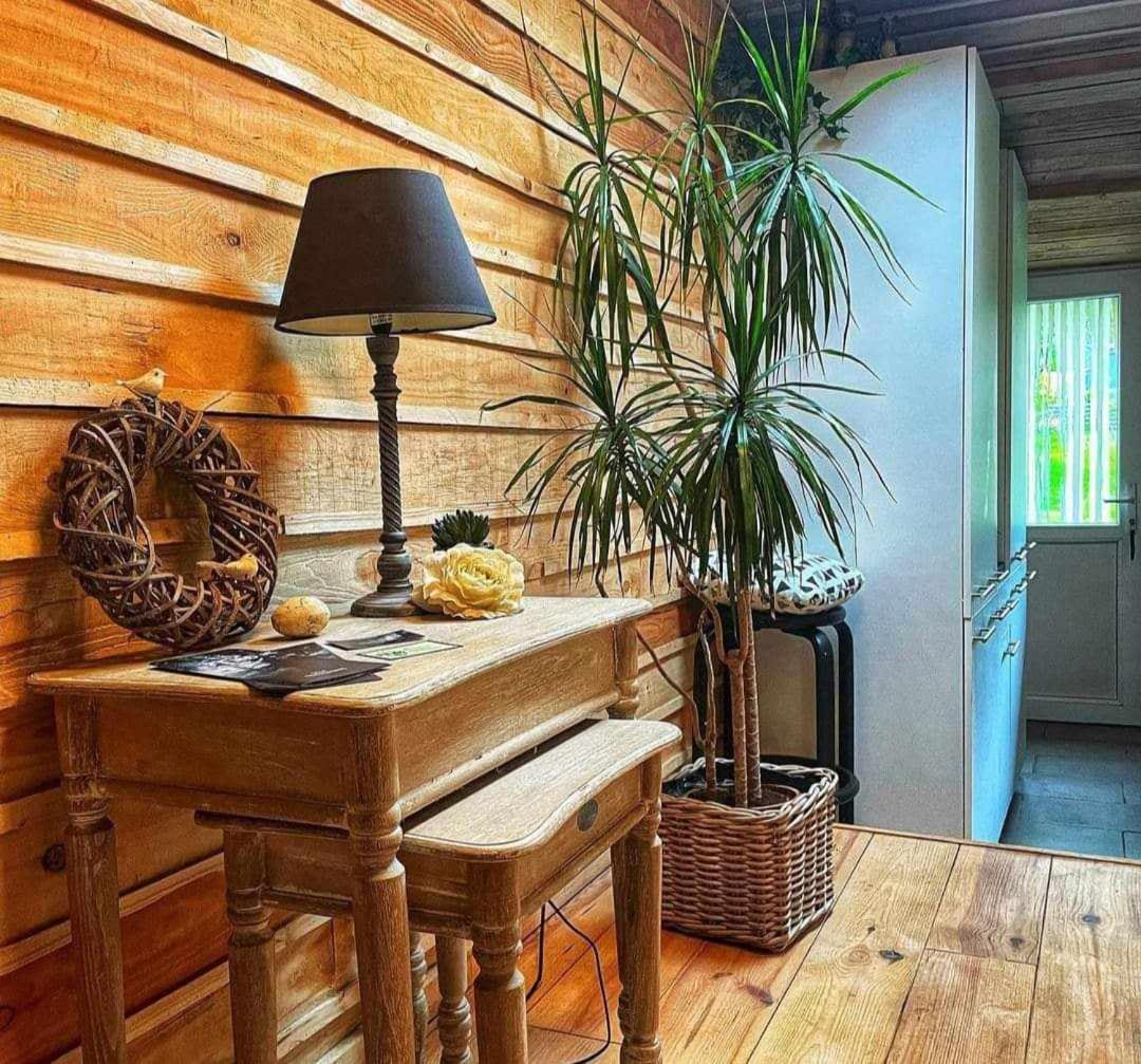 Tellin Le P'Tit Nid : Mini Loft Pour 2 A 4 Personnes 빌라 외부 사진